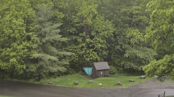 Weather camera view of John Dorr Nature Lab-Horace Mann School.
