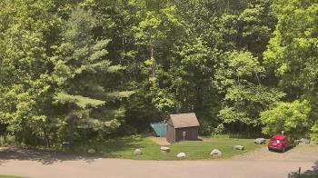 Weather camera view of John Dorr Nature Lab-Horace Mann School.