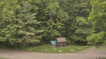 Weather camera view of John Dorr Nature Lab-Horace Mann School.