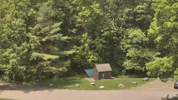 Weather camera view of John Dorr Nature Lab-Horace Mann School.