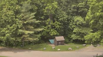 Weather camera view of John Dorr Nature Lab-Horace Mann School.