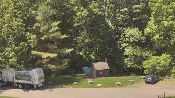 Weather camera view of John Dorr Nature Lab-Horace Mann School.