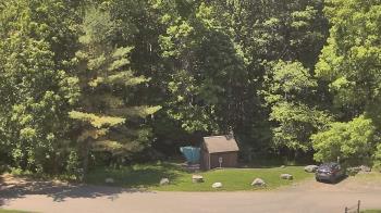 Weather camera view of John Dorr Nature Lab-Horace Mann School.