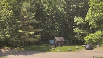 Weather camera view of John Dorr Nature Lab-Horace Mann School.