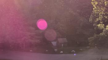 Weather camera view of John Dorr Nature Lab-Horace Mann School.