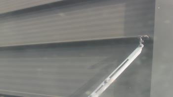 Weather camera view of Pirates Bay Water Park.