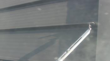 Weather camera view of Pirates Bay Water Park.