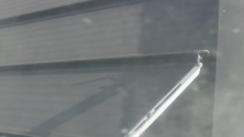 Weather camera view of Pirates Bay Water Park.