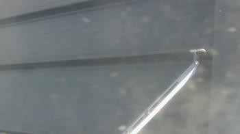 Weather camera view of Pirates Bay Water Park.