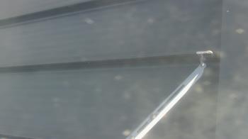 Weather camera view of Pirates Bay Water Park.