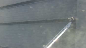 Weather camera view of Pirates Bay Water Park.