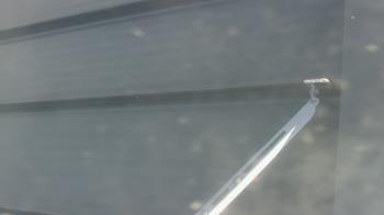 Weather camera view of Pirates Bay Water Park.