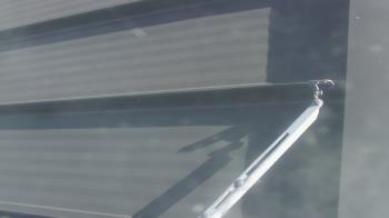 Weather camera view of Pirates Bay Water Park.