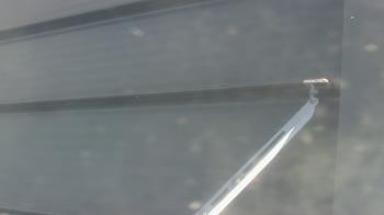 Weather camera view of Pirates Bay Water Park.