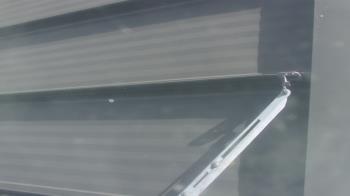 Weather camera view of Pirates Bay Water Park.