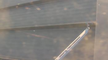 Weather camera view of Pirates Bay Water Park.