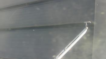 Weather camera view of Pirates Bay Water Park.