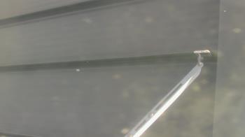 Weather camera view of Pirates Bay Water Park.