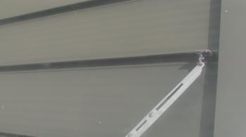 Weather camera view of Pirates Bay Water Park.