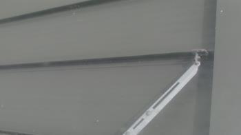 Weather camera view of Pirates Bay Water Park.