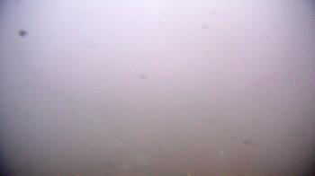 Weather camera view of First Community Bank.