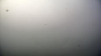 Weather camera view of First Community Bank.