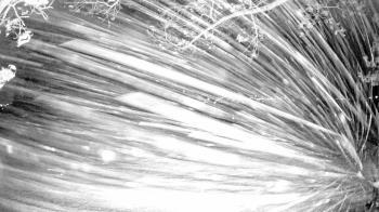 Weather camera view of Country Club of Harrisburg.