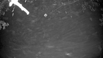 Weather camera view of Country Club of Harrisburg.