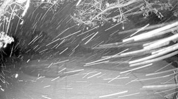 Weather camera view of Country Club of Harrisburg.