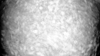 Weather camera view of Gilbert Run Park.