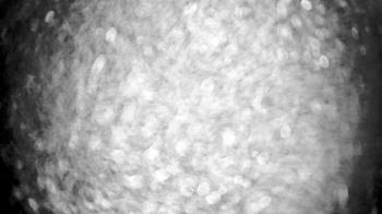 Weather camera view of Gilbert Run Park.