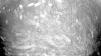 Weather camera view of Gilbert Run Park.