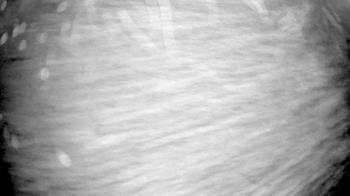 Weather camera view of Gilbert Run Park.