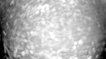 Weather camera view of Gilbert Run Park.