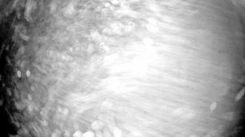 Weather camera view of Gilbert Run Park.