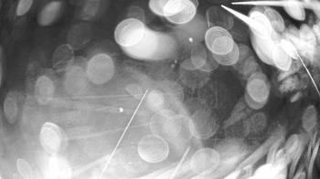 Weather camera view of Gilbert Run Park.