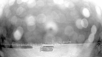 Weather camera view of Gilbert Run Park.