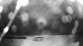 Weather camera view of Gilbert Run Park.