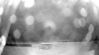 Weather camera view of Gilbert Run Park.