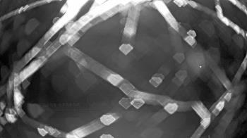 Weather camera view of Gilbert Run Park.