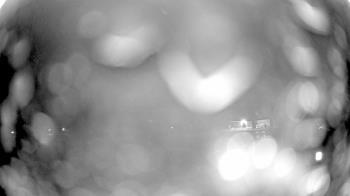 Weather camera view of Laurel Springs Regional Park.