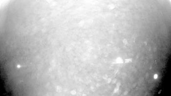 Weather camera view of Laurel Springs Regional Park.