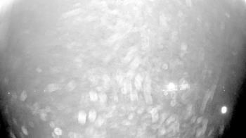 Weather camera view of Laurel Springs Regional Park.