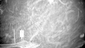 Weather camera view of Mallows Bay.