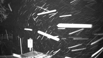 Weather camera view of Mallows Bay.