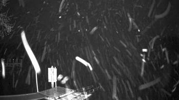 Weather camera view of Mallows Bay.