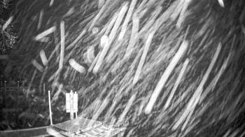 Weather camera view of Mallows Bay.