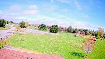 Weather camera view of Oak Ridge Park.