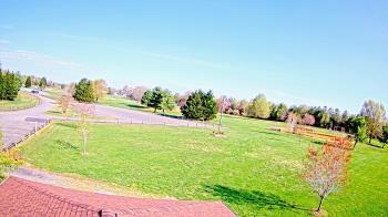 Weather camera view of Oak Ridge Park.