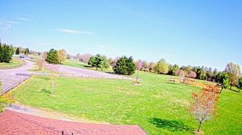 Weather camera view of Oak Ridge Park.